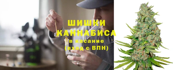 ПСИЛОЦИБИНОВЫЕ ГРИБЫ Бугульма