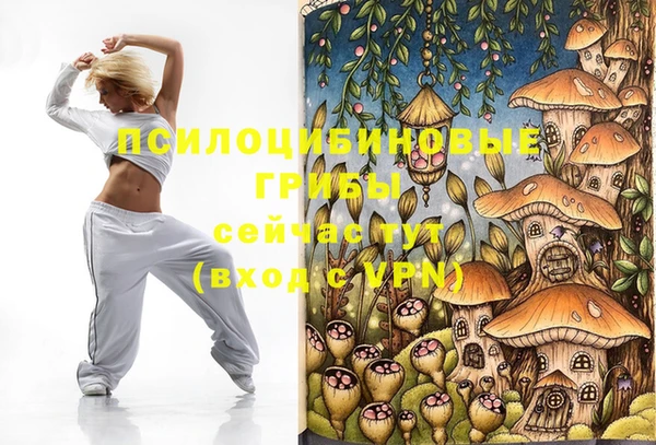 ПСИЛОЦИБИНОВЫЕ ГРИБЫ Бугульма