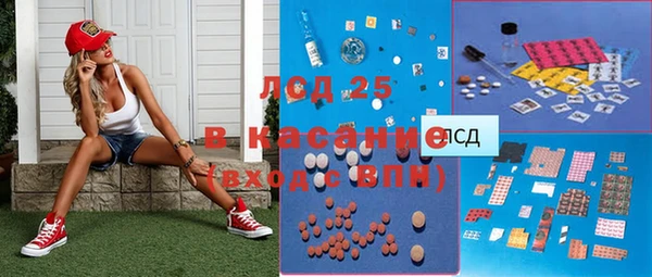 ПСИЛОЦИБИНОВЫЕ ГРИБЫ Аша