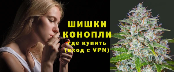 мет Бородино