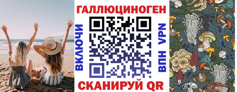 Галлюциногенные грибы MAGIC MUSHROOMS купить закладку Курган